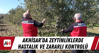 Akhisar'da Zeytinliklerde Hastalık ve Zararlı Kontrolü