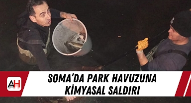Soma'da park havuzuna kimyasal saldırı