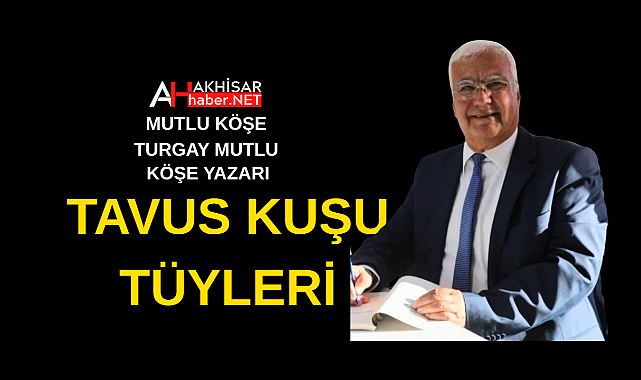 Tavus Kuşu Tüyleri