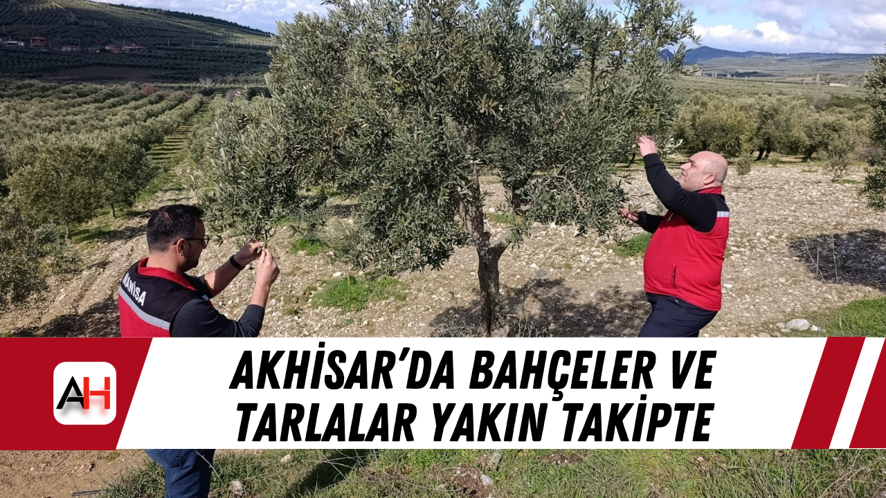 Akhisar’da Bahçeler ve Tarlalar Yakın Takipte