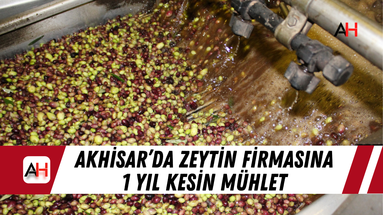 Akhisar’da Zeytin Firmasına 1 Yıl Kesin Mühlet
