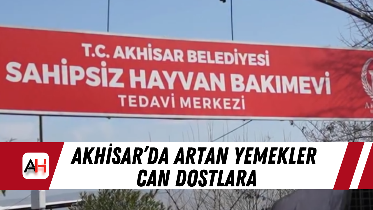 Akhisar’da artan yemekler can dostlara