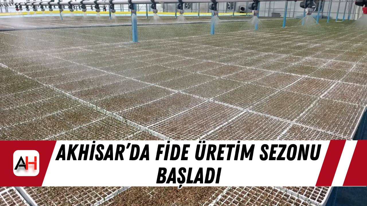 Akhisar’da Fide Üretim Sezonu Başladı