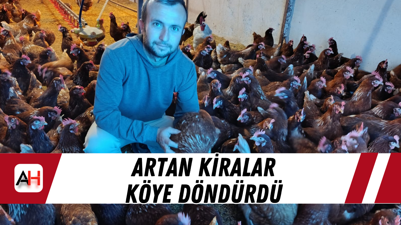 Artan Kiralar Köye Döndürdü