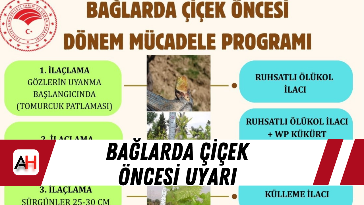 Bağlarda Çiçek Öncesi Uyarı
