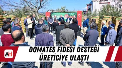 Domates fidesi desteği üreticiye ulaştı