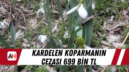 Kardelen Koparmanın Cezası 699 Bin TL