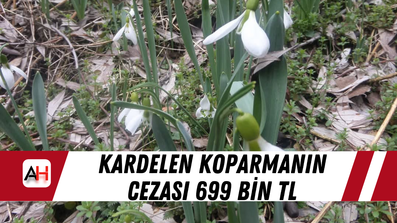 Kardelen Koparmanın Cezası 699 Bin TL
