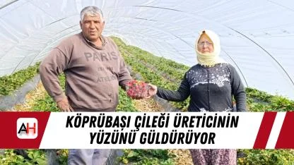 Köprübaşı çileği üreticinin yüzünü güldürüyor