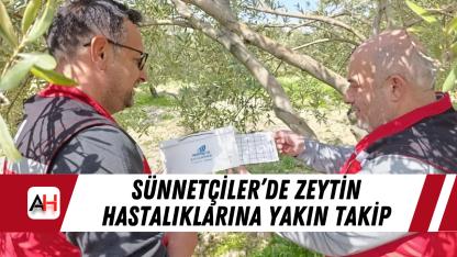 Sünnetçiler’de zeytin hastalıklarına yakın takip