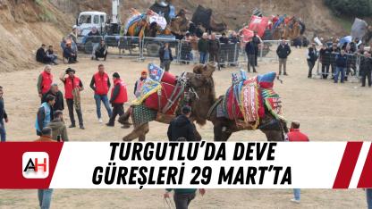 Turgutlu’da Deve Güreşleri 29 Mart’ta