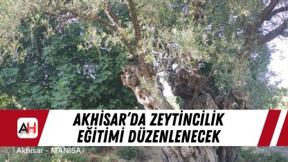 Akhisar’da Zeytincilik Eğitimi Düzenlenecek