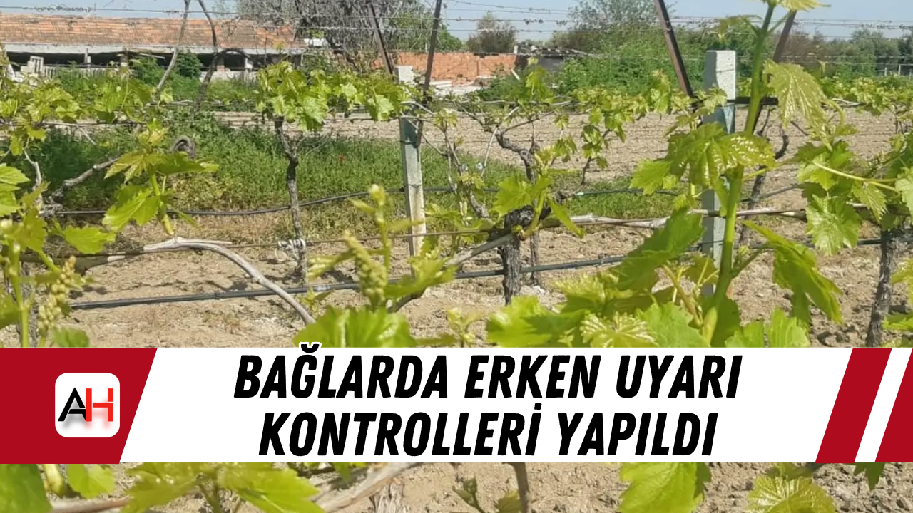 Bağlarda Erken Uyarı Kontrolleri Yapıldı
