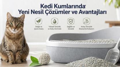 Kedi Kumlarında Yeni Nesil Çözümler ve Avantajları