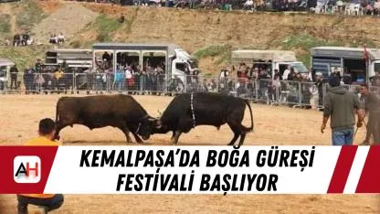 Kemalpaşa’da Boğa Güreşi Festivali Başlıyor