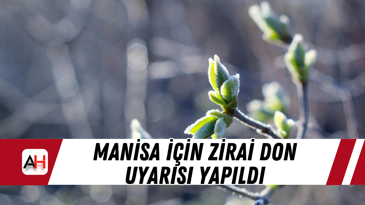 Manisa İçin Zirai Don Uyarısı Yapıldı