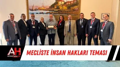 Mecliste İnsan Hakları Teması