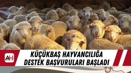 Küçükbaş hayvancılığa destek başvuruları başladı