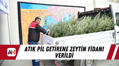 Atık pil getirene zeytin fidanı verildi