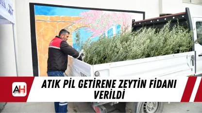 Atık pil getirene zeytin fidanı verildi