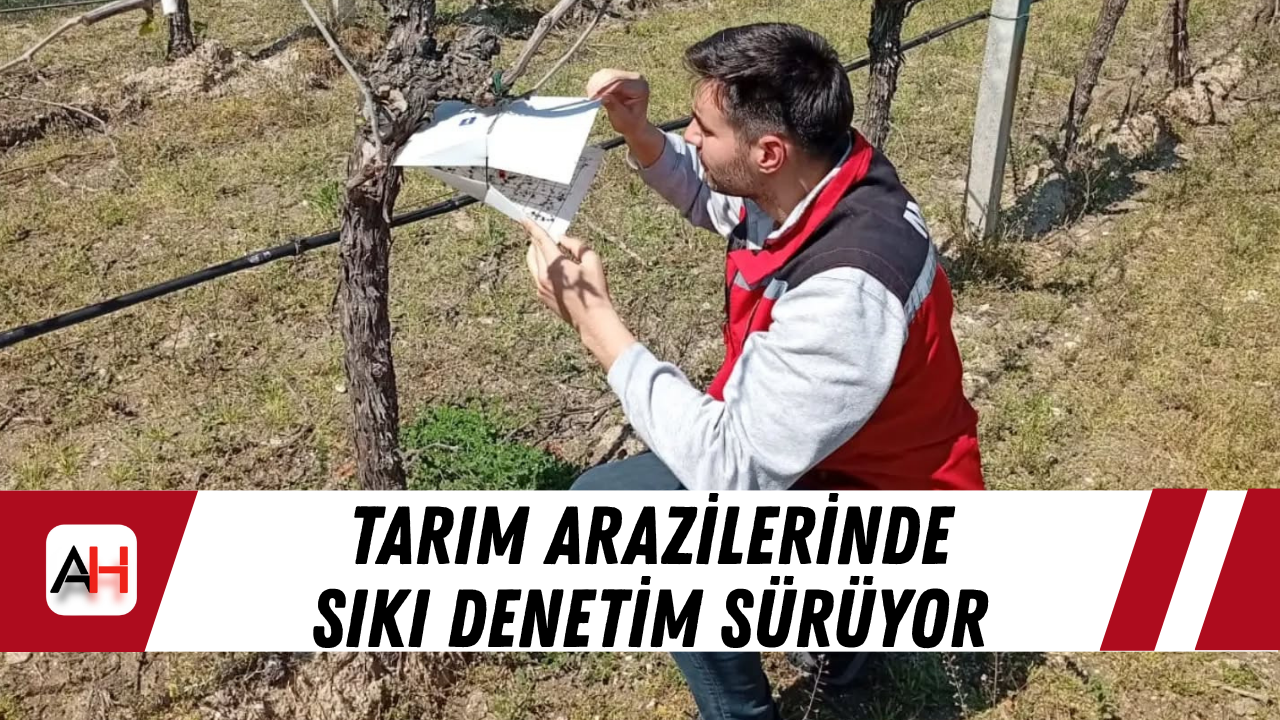 Tarım Arazilerinde Sıkı Denetim Sürüyor