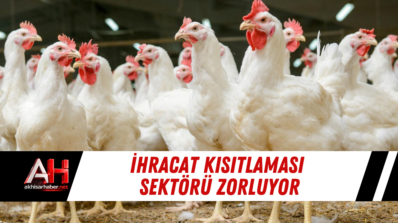 İhracat Kısıtlaması Sektörü Zorluyor