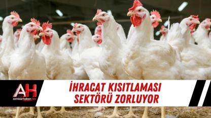 İhracat Kısıtlaması Sektörü Zorluyor