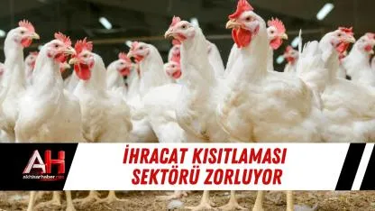 İhracat Kısıtlaması Sektörü Zorluyor