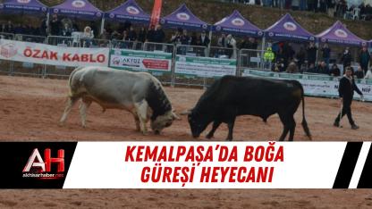 Kemalpaşa’da boğa güreşi heyecanı
