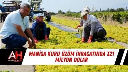 Manisa kuru üzüm ihracatında 321 milyon dolar
